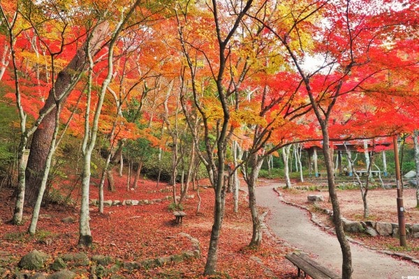 瑞宝寺公園